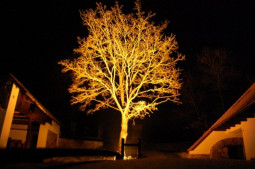 Osvětlení stromu, zima 2013