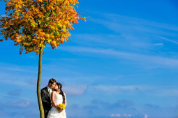 Novomanželé (allstarfoto.com)