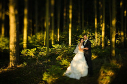 asné focení novomanželů v lese
