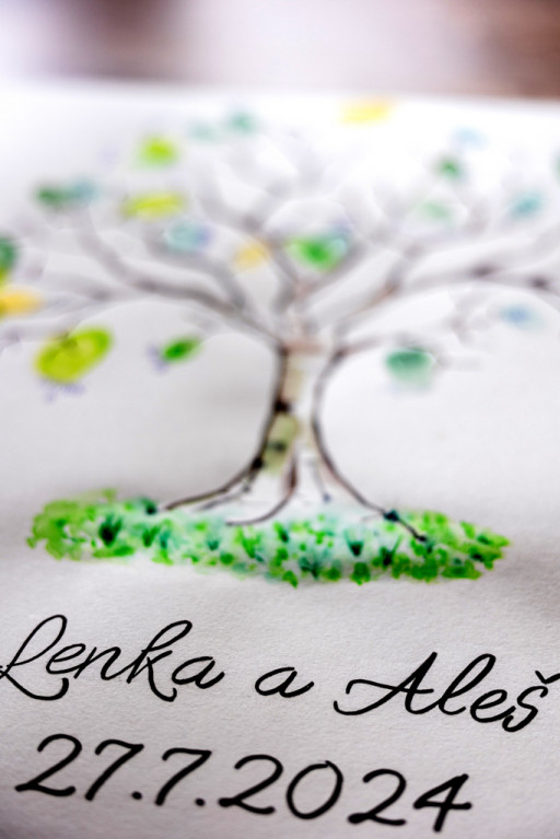 Lenka a Aleš-530